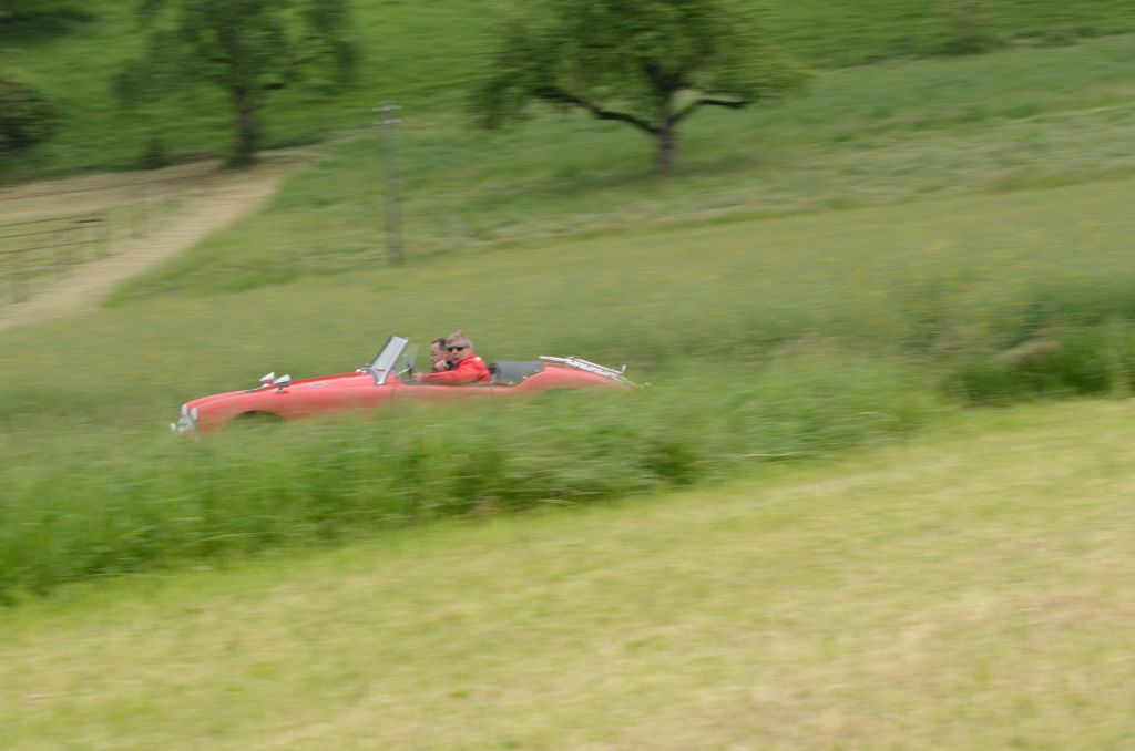 SMR 2015 183.jpg